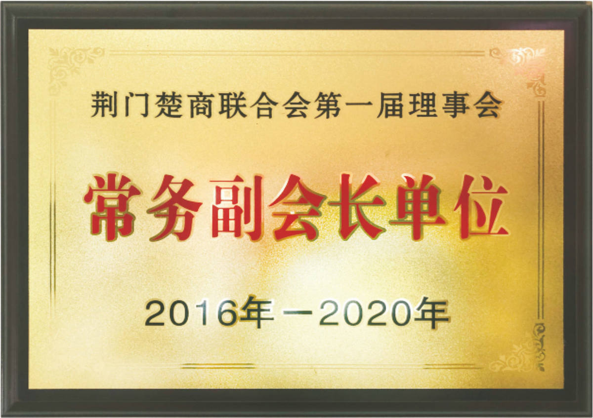 常務(wù)副會(huì )長(cháng)單位